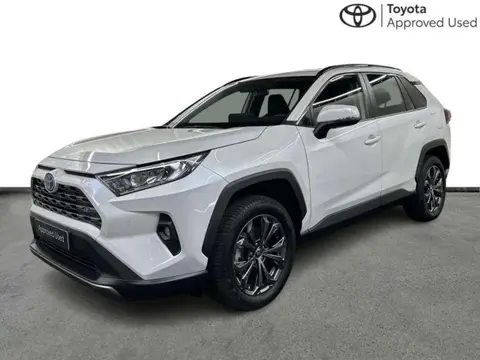 Used TOYOTA RAV4 Hybrid 2023 Ad 