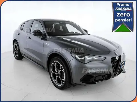 Annonce ALFA ROMEO STELVIO Essence 2024 d'occasion 