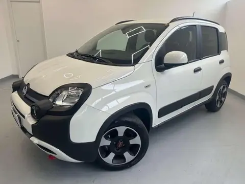 Used FIAT PANDA Hybrid 2023 Ad 