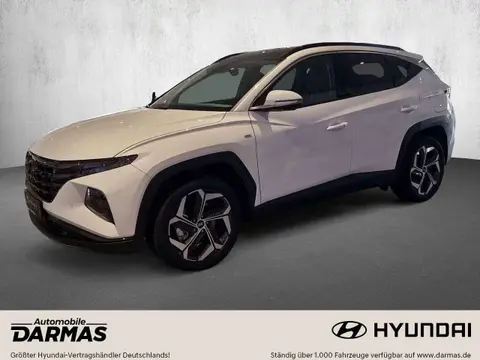 Used HYUNDAI TUCSON Petrol 2024 Ad 