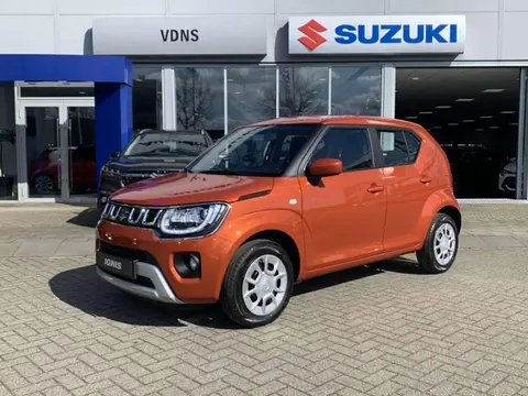 Used SUZUKI IGNIS Petrol 2024 Ad 