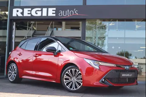 Used TOYOTA COROLLA Hybrid 2019 Ad 