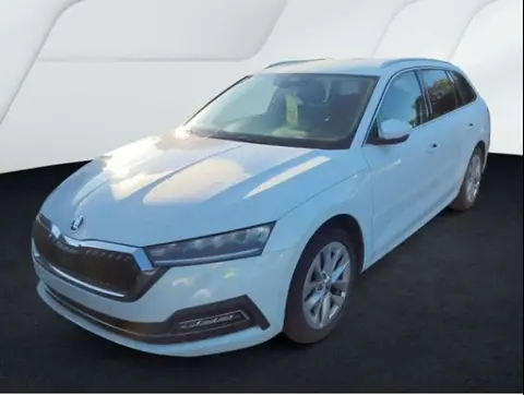 Annonce SKODA OCTAVIA Essence 2024 d'occasion 