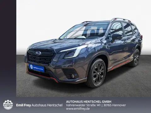 Used SUBARU FORESTER Petrol 2024 Ad 