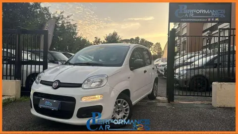 Annonce FIAT PANDA Essence 2020 d'occasion 