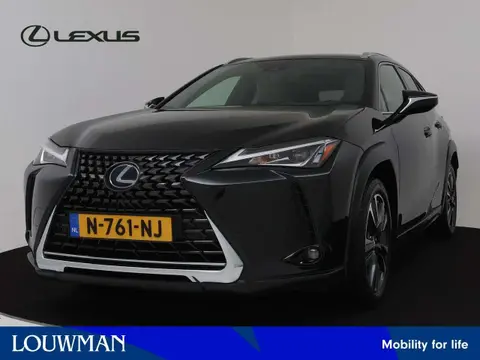 Used LEXUS UX Hybrid 2020 Ad 