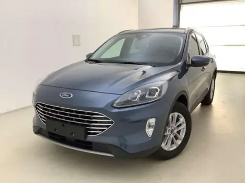 Annonce FORD KUGA Hybride 2023 d'occasion 