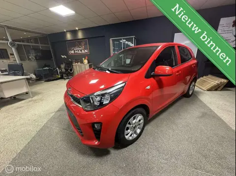 Annonce KIA PICANTO Essence 2019 d'occasion 