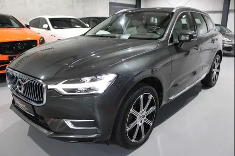 Used VOLVO XC60 Diesel 2017 Ad 