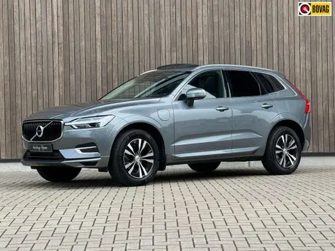 Annonce VOLVO XC60 Hybride 2020 d'occasion 