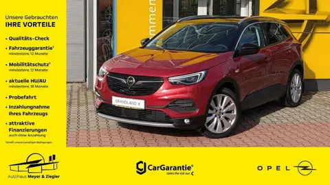 Used OPEL GRANDLAND Petrol 2019 Ad 