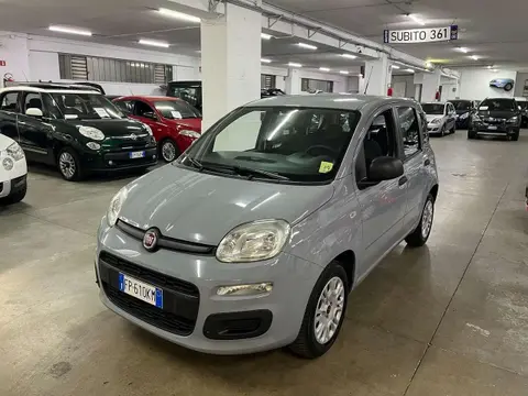 Used FIAT PANDA Petrol 2018 Ad 