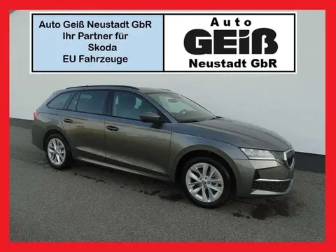 Used SKODA OCTAVIA Petrol 2024 Ad 