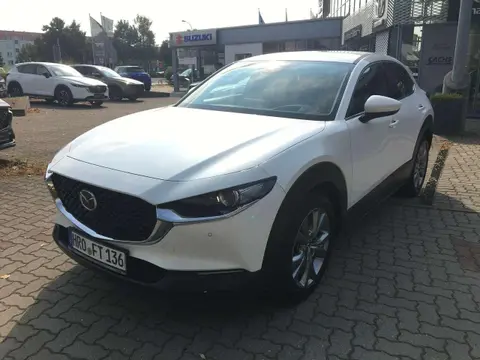 Annonce MAZDA CX-30 Essence 2023 d'occasion 