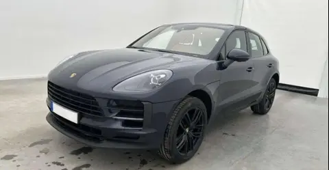 Annonce PORSCHE MACAN Essence 2019 d'occasion 