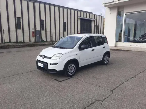 Annonce FIAT PANDA Hybride 2023 d'occasion 