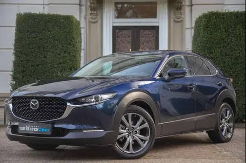 Annonce MAZDA CX-30 Hybride 2020 d'occasion 