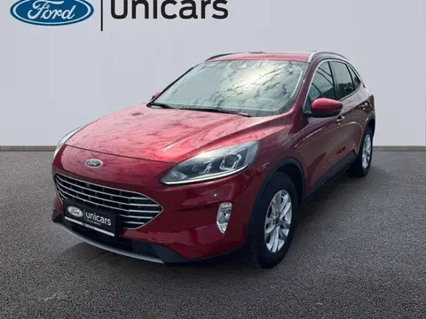 Used FORD KUGA Not specified 2023 Ad 