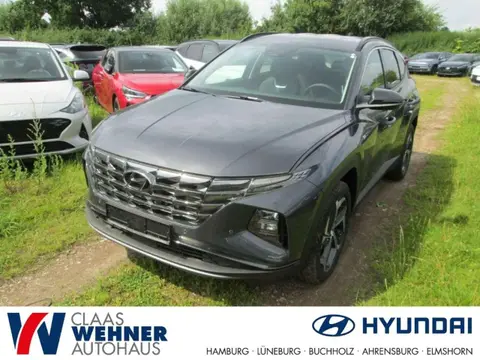 Used HYUNDAI TUCSON Petrol 2023 Ad 