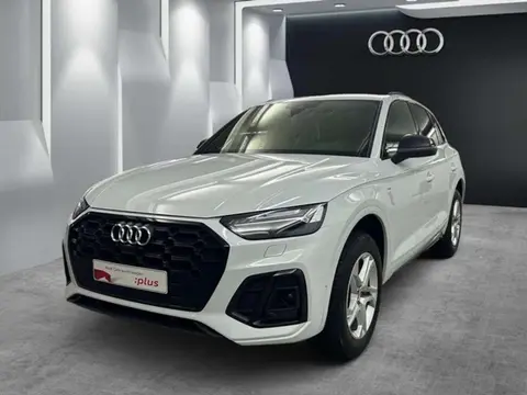 Used AUDI Q5 Diesel 2020 Ad 