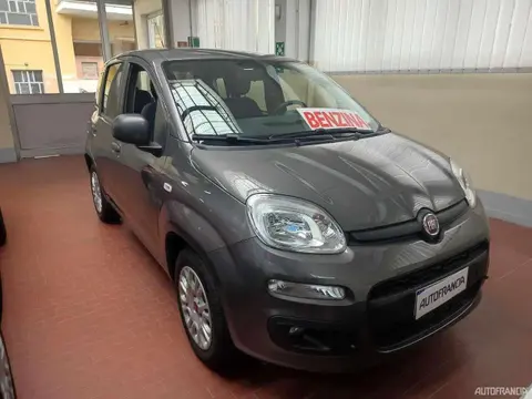 Used FIAT PANDA Petrol 2019 Ad 