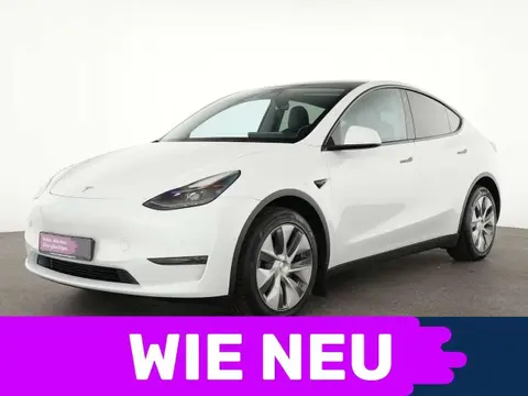 Annonce TESLA MODEL Y Électrique 2022 d'occasion 