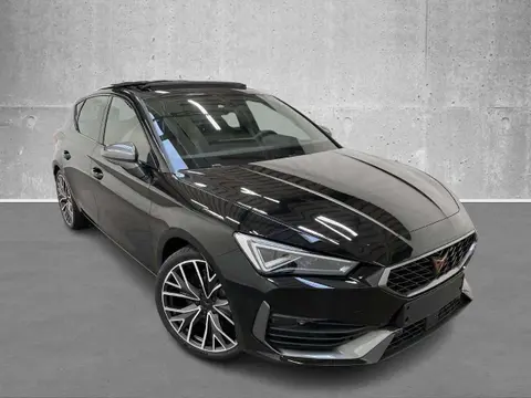 Annonce CUPRA LEON Essence 2024 d'occasion 