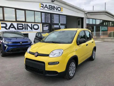 Used FIAT PANDA Hybrid 2024 Ad 