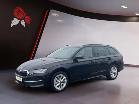 Used SKODA OCTAVIA Diesel 2024 Ad 