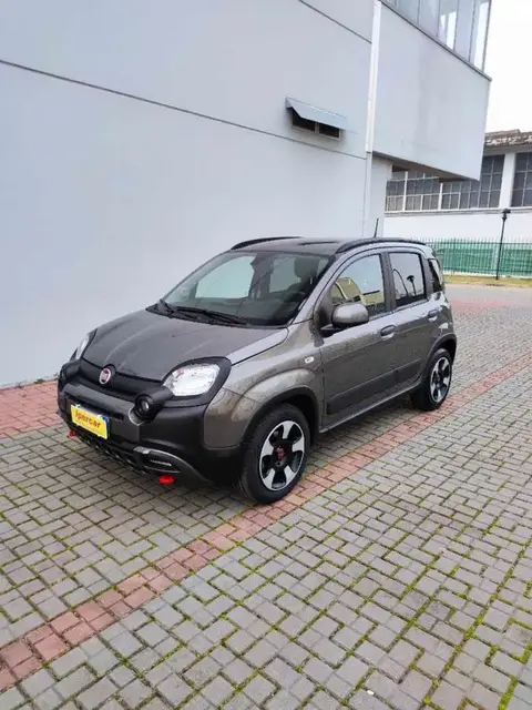 Annonce FIAT PANDA Hybride 2023 d'occasion 