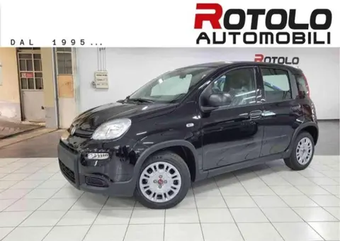 Annonce FIAT PANDA Hybride 2024 d'occasion 