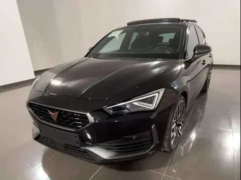 Annonce CUPRA LEON Essence 2024 d'occasion 