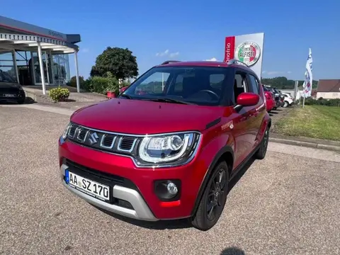 Used SUZUKI IGNIS Petrol 2023 Ad 