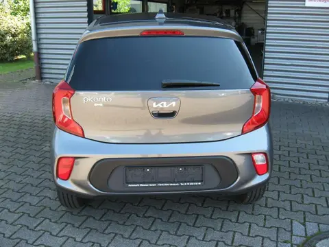 Used KIA PICANTO Petrol 2021 Ad 