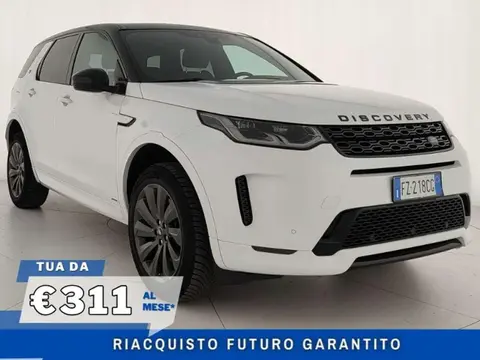 Used LAND ROVER DISCOVERY Hybrid 2020 Ad 