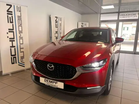 Annonce MAZDA CX-30 Essence 2023 d'occasion 