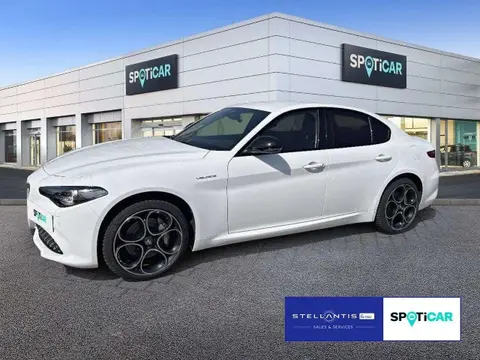 Used ALFA ROMEO GIULIA Petrol 2022 Ad 