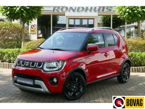 Annonce SUZUKI IGNIS Hybride 2020 d'occasion 