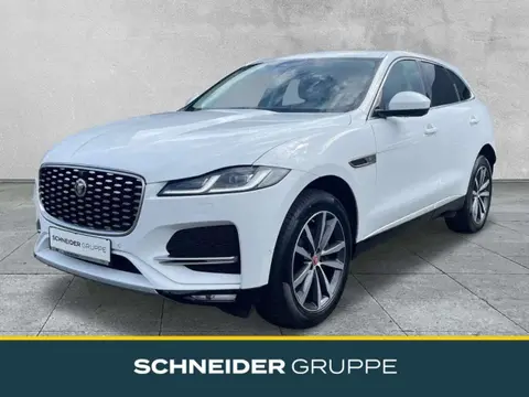 Annonce JAGUAR F-PACE Diesel 2021 d'occasion 