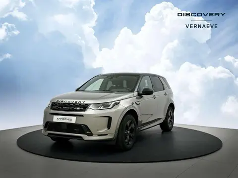 Used LAND ROVER DISCOVERY Hybrid 2023 Ad Belgium