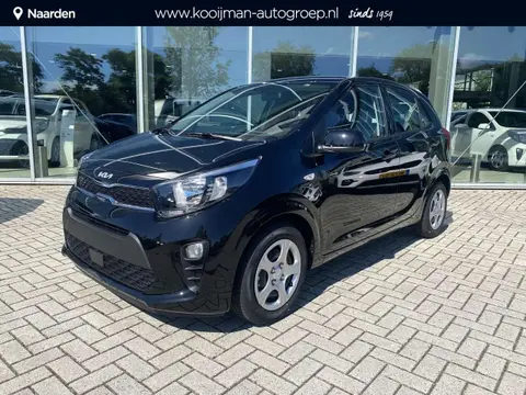 Used KIA PICANTO Petrol 2024 Ad 