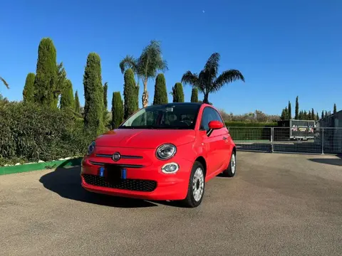 Used FIAT 500 Petrol 2016 Ad 