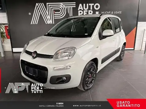 Used FIAT PANDA Petrol 2019 Ad 