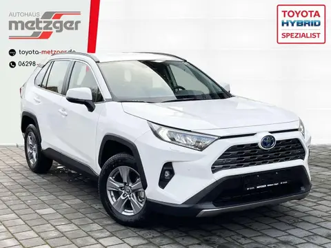 Annonce TOYOTA RAV4 Hybride 2024 d'occasion Allemagne