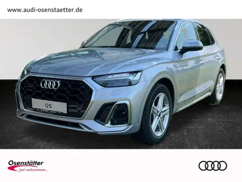 Annonce AUDI Q5 Diesel 2024 d'occasion 