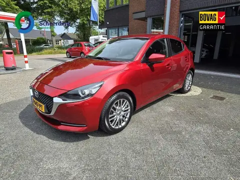 Annonce MAZDA 2 Hybride 2020 d'occasion 