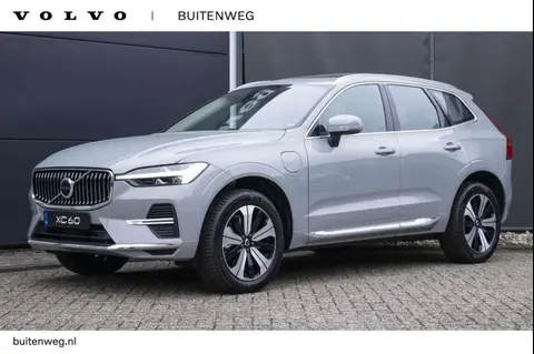 Used VOLVO XC60 Hybrid 2024 Ad 