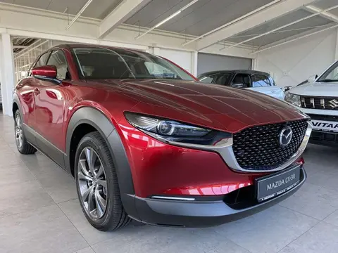 Annonce MAZDA CX-30 Hybride 2024 d'occasion 