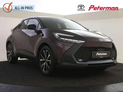 Used TOYOTA C-HR Hybrid 2024 Ad 