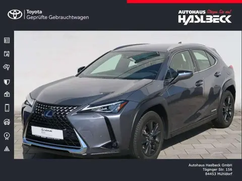 Annonce LEXUS UX Hybride 2019 d'occasion 